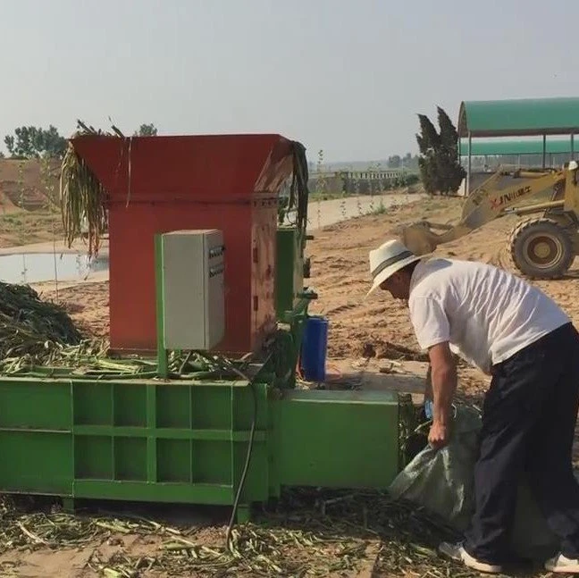 corn silage baler machine (4)