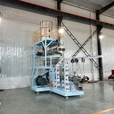 Quais são os diferentes tipos de equipamentos de extrusão de alimentos para a...